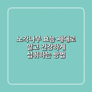 노각나무 효능 제대로 알고 건강하게 섭취하는 방법