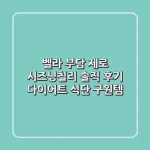 벨라 부담 제로 시즈닝(칠리) 솔직 후기: 다이어트 식단 구원템?!