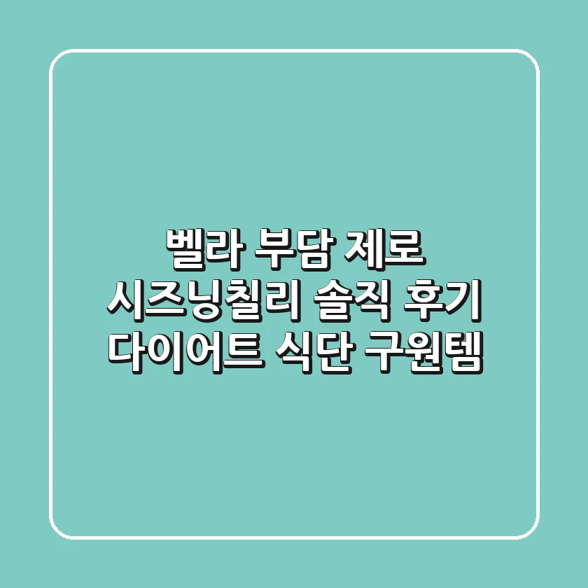 벨라 부담 제로 시즈닝(칠리) 솔직 후기: 다이어트 식단 구원템?!