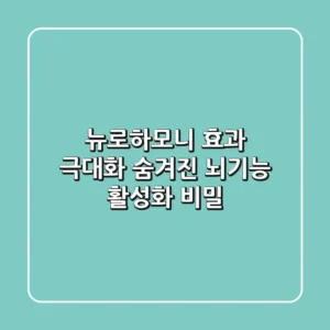 뉴로하모니 효과 극대화: 숨겨진 뇌기능 활성화 비밀