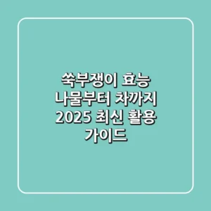 쑥부쟁이 효능, 나물부터 차까지! 2025 최신 활용 가이드