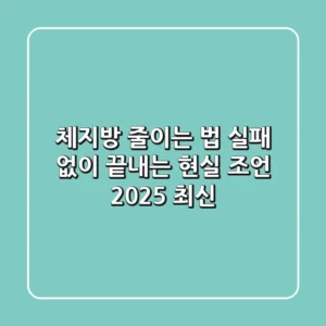 체지방 줄이는 법, 실패 없이 끝내는 현실 조언 (2025 최신)