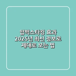 압박스타킹 효과, 2025년 최신 정보로 제대로 보는 법