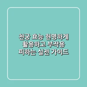 천궁 효능, 현명하게 활용하고 부작용 피하는 실전 가이드