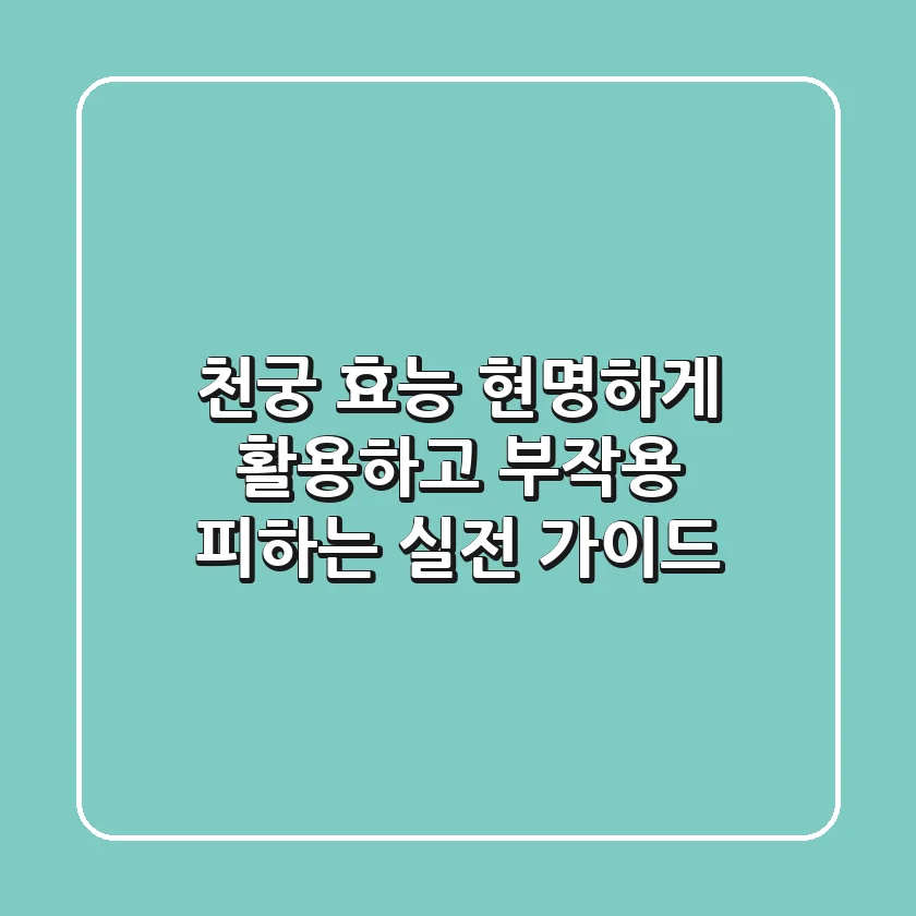 천궁 효능, 현명하게 활용하고 부작용 피하는 실전 가이드