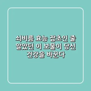 쇠비름 효능, 잡초인 줄 알았던 이 보물이 당신 건강을 바꾼다!