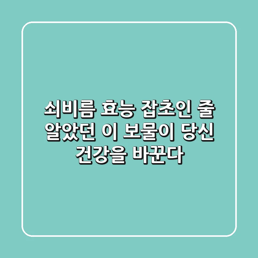 쇠비름 효능, 잡초인 줄 알았던 이 보물이 당신 건강을 바꾼다!