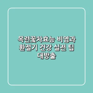 목련꽃차효능: 비염과 환절기 건강, 실전 팁 대방출