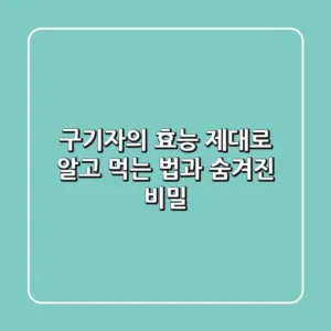 구기자의 효능: 제대로 알고 먹는 법과 숨겨진 비밀