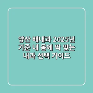 양산 배내과: 2025년 기준, 내 몸에 딱 맞는 내과 선택 가이드