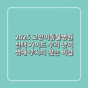 2025 고양이동물병원 선택 가이드: 우리 냥이 생애 주치의 찾는 비결