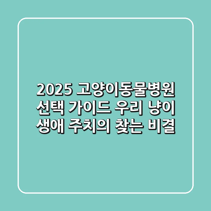 2025 고양이동물병원 선택 가이드: 우리 냥이 생애 주치의 찾는 비결