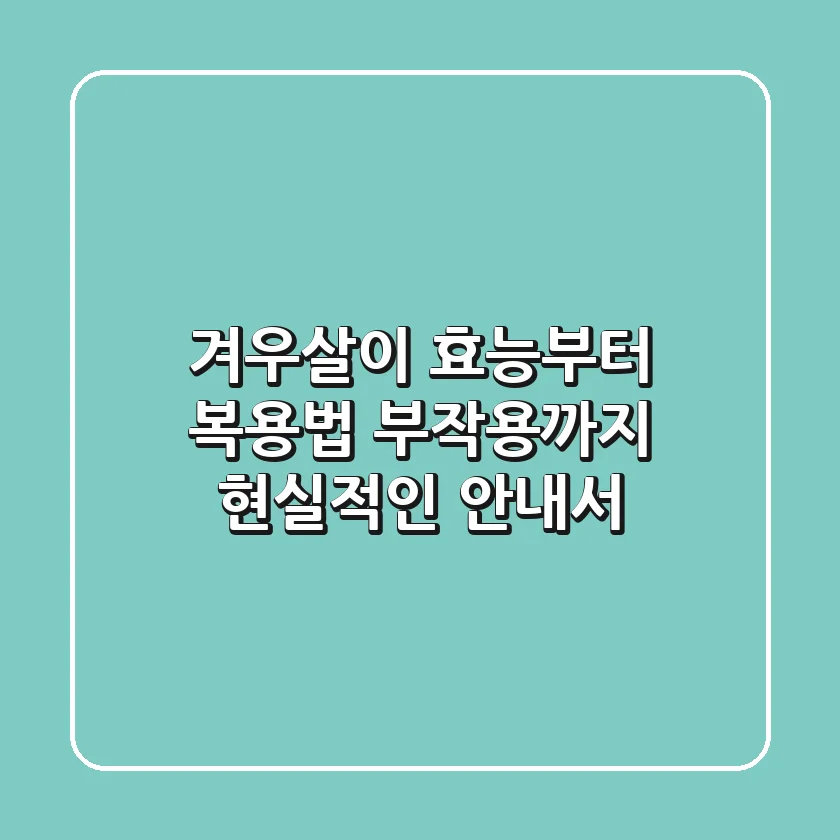 겨우살이 효능부터 복용법, 부작용까지 현실적인 안내서