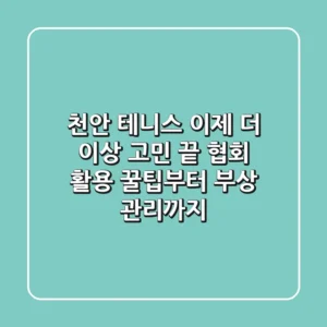 천안 테니스, 이제 더 이상 고민 끝! 협회 활용 꿀팁부터 부상 관리까지