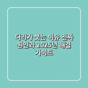 다리가 붓는 이유: 진짜 원인과 2025년 해결 가이드