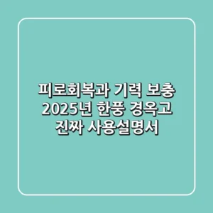 피로회복과 기력 보충, 2025년 한풍 경옥고 진짜 사용설명서