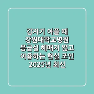 갑자기 아플 때? 강원대학교병원 응급실, 헤매지 않고 이용하는 현실 조언 (2025년 최신)