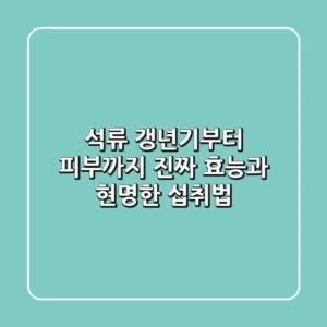 석류, 갱년기부터 피부까지? 진짜 효능과 현명한 섭취법