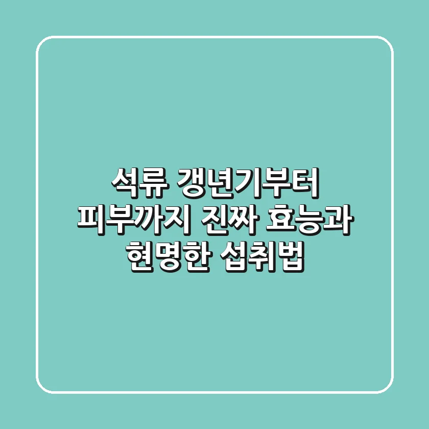 석류, 갱년기부터 피부까지? 진짜 효능과 현명한 섭취법