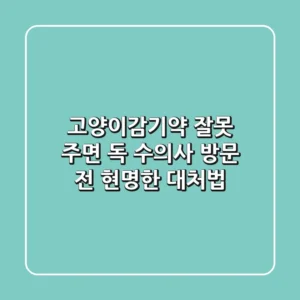 고양이감기약, 잘못 주면 독! 수의사 방문 전 현명한 대처법