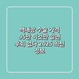 백내장 수술 가격 95만, 이것만 알면 후회 없다 (2025 최신 정보)