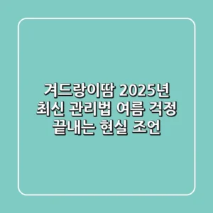 겨드랑이땀, 2025년 최신 관리법! 여름 걱정 끝내는 현실 조언