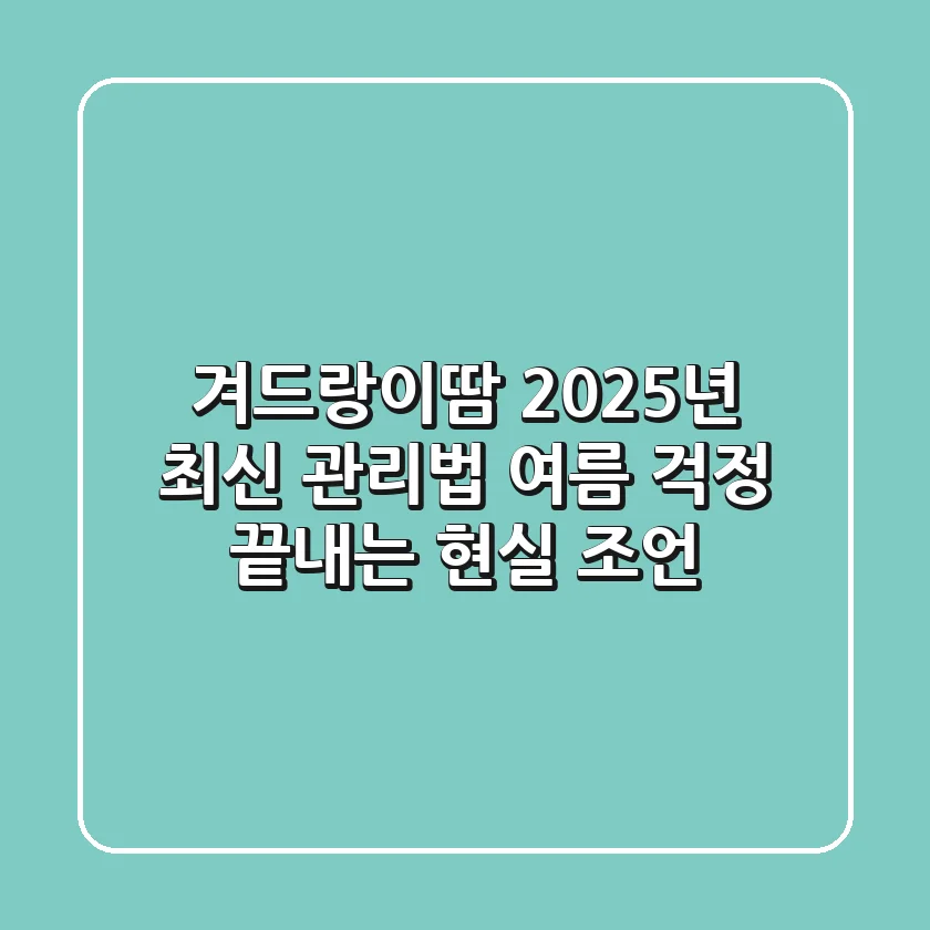 겨드랑이땀, 2025년 최신 관리법! 여름 걱정 끝내는 현실 조언