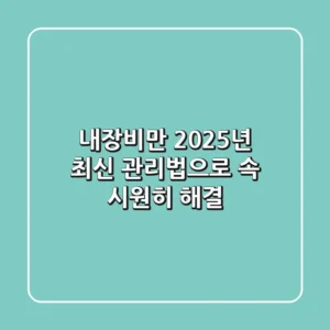 내장비만, 2025년 최신 관리법으로 속 시원히 해결!