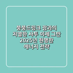 붕붕드링크, 잠과의 치열한 사투? 이제 그만! 2025년 현명한 에너지 전략