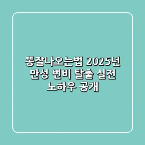 똥잘나오는법: 2025년 만성 변비 탈출 실전 노하우 공개