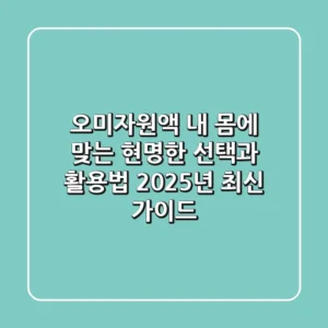 오미자원액, 내 몸에 맞는 현명한 선택과 활용법 (2025년 최신 가이드)