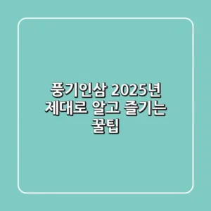 풍기인삼, 2025년 제대로 알고 즐기는 꿀팁