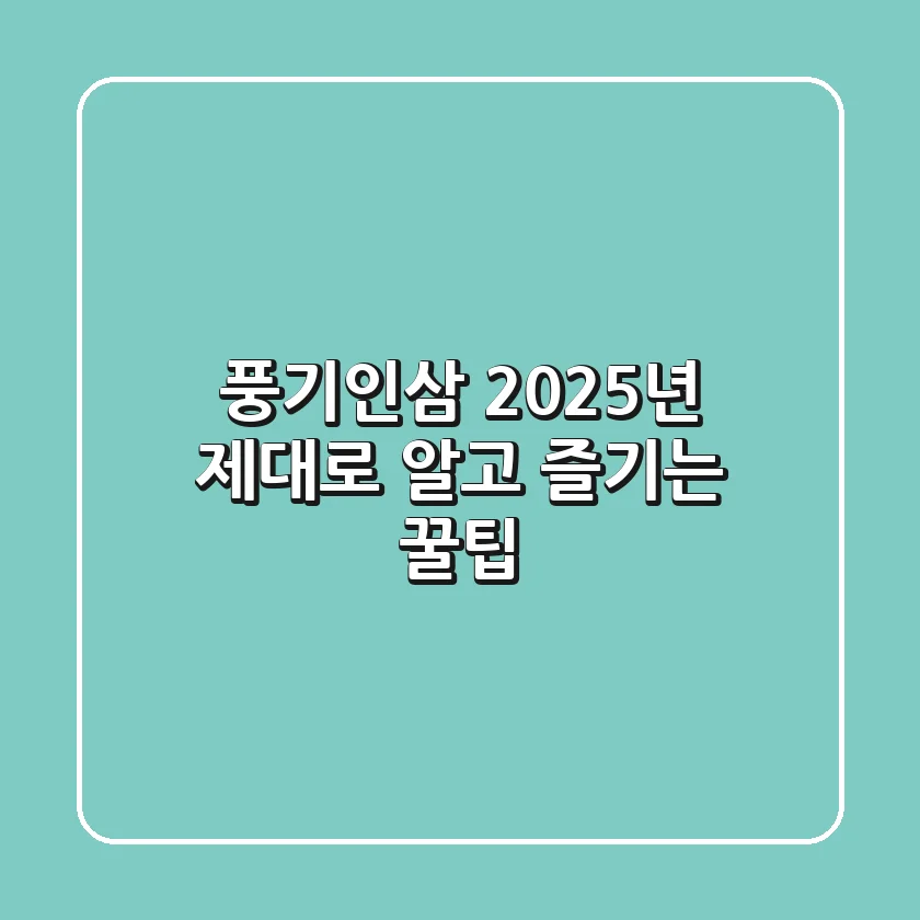 풍기인삼, 2025년 제대로 알고 즐기는 꿀팁