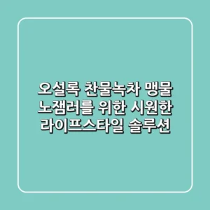 오설록 찬물녹차, 맹물 노잼러를 위한 시원한 라이프스타일 솔루션