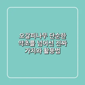 오갈피나무, 단순한 약초를 넘어선 '진짜' 가치와 활용법