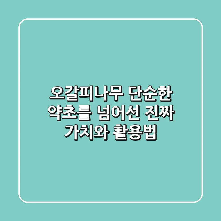 오갈피나무, 단순한 약초를 넘어선 '진짜' 가치와 활용법