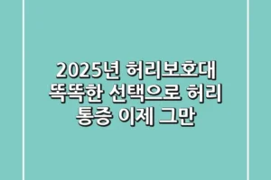 2025년 허리보호대, 똑똑한 선택으로 허리 통증 이제 그만!