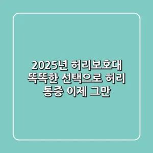 2025년 허리보호대, 똑똑한 선택으로 허리 통증 이제 그만!