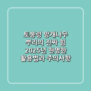 토봉령, 망개나무 뿌리의 진짜 힘: 2025년 현명한 활용법과 주의사항