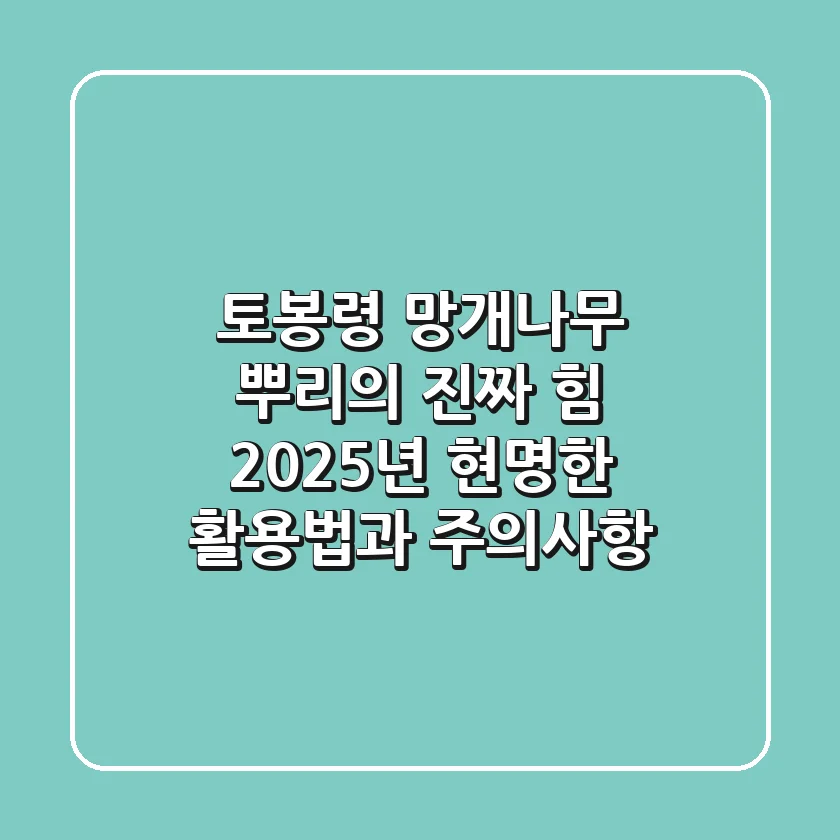 토봉령, 망개나무 뿌리의 진짜 힘: 2025년 현명한 활용법과 주의사항