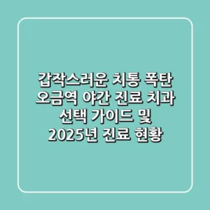 "갑작스러운 치통 폭탄", 오금역 야간 진료 치과 선택 가이드 및 2025년 진료 현황