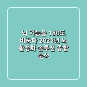 "뇌 기능을 180도 바꾼다", 2025년 뇌 활성화 솔루션 종합 분석