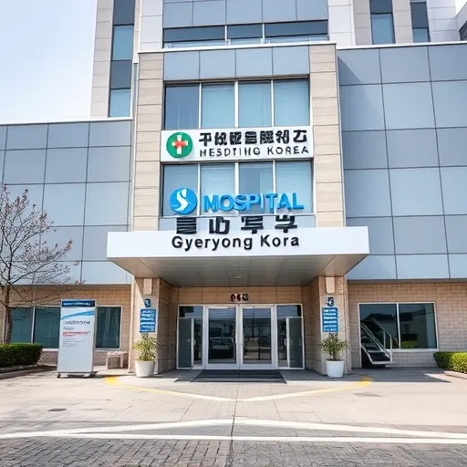 오해 해소: 계룡병원과 계룡대지구병원의 기능적 차이와 이용 자격