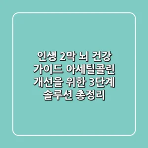 "인생 2막 뇌 건강 가이드", 아세틸콜린 개선을 위한 3단계 솔루션 총정리