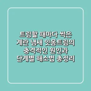 "트림할 때마다 썩은 계란 냄새?", 잇몸트림의 충격적인 원인과 단계별 해소법 총정리