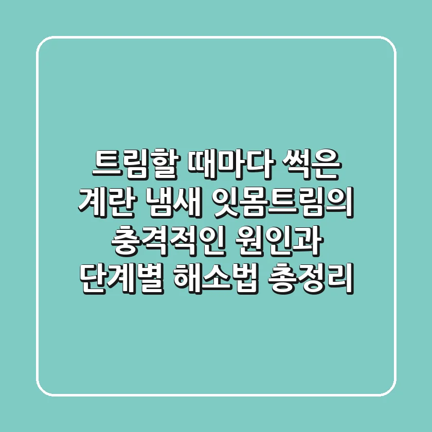"트림할 때마다 썩은 계란 냄새?", 잇몸트림의 충격적인 원인과 단계별 해소법 총정리