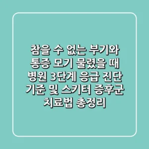 "참을 수 없는 부기와 통증", 모기 물렸을 때 병원, 3단계 응급 진단 기준 및 스키터 증후군 치료법 총정리