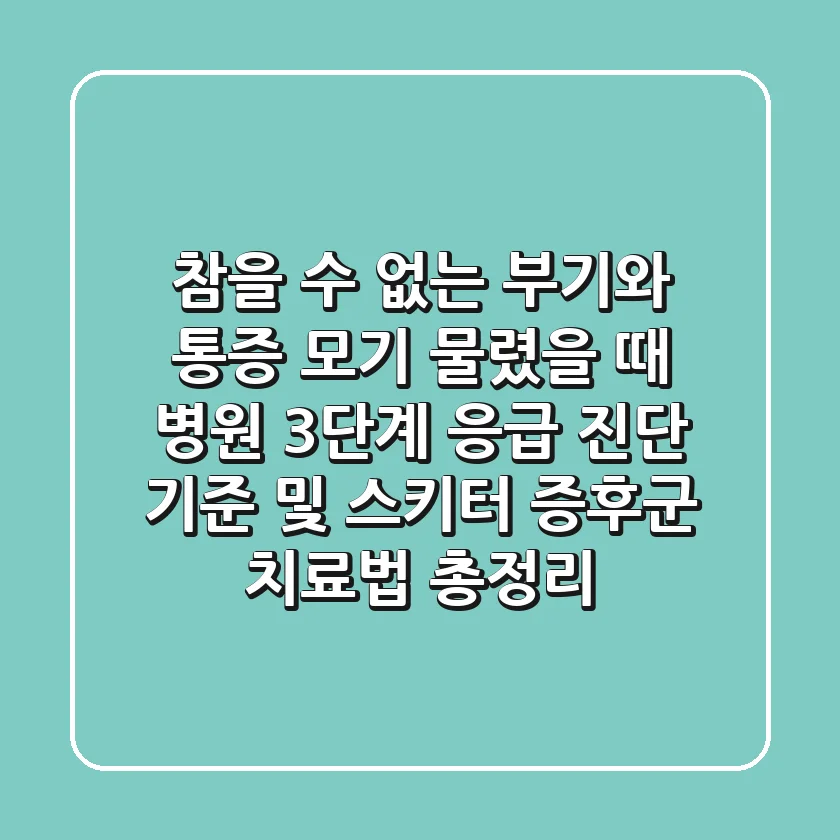 "참을 수 없는 부기와 통증", 모기 물렸을 때 병원, 3단계 응급 진단 기준 및 스키터 증후군 치료법 총정리