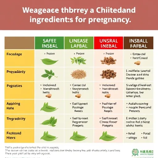 임산부 전문 한방 케어의 역할: 단순 보약 이상의 가치