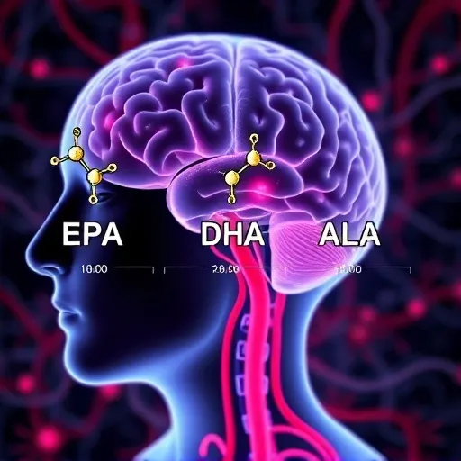 오메가3 효능 극대화 전략: 오메가-6 지방산과의 균형점